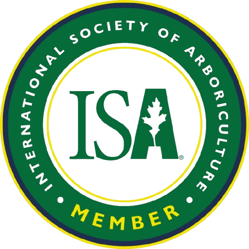 ISA Member