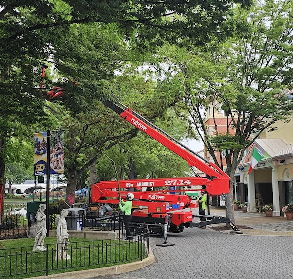 Commercial, Government and Multifamily Specialists