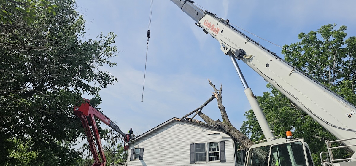 Emergency tree removal and crane services