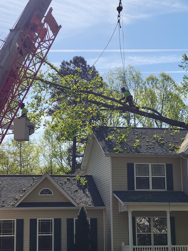 Emergency and Crane Specialists