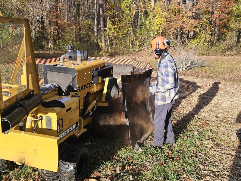 Commercial services project