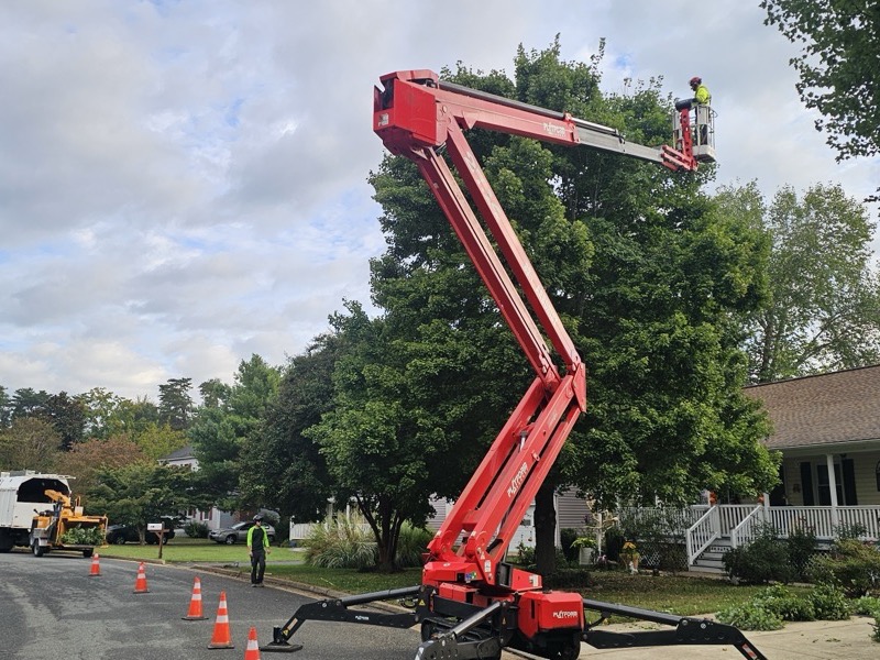 Commercial services project