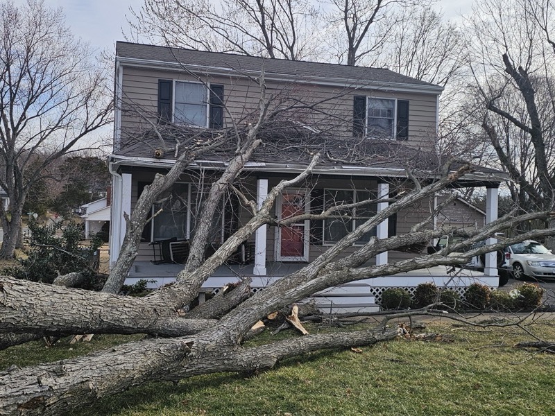 Emergency tree service