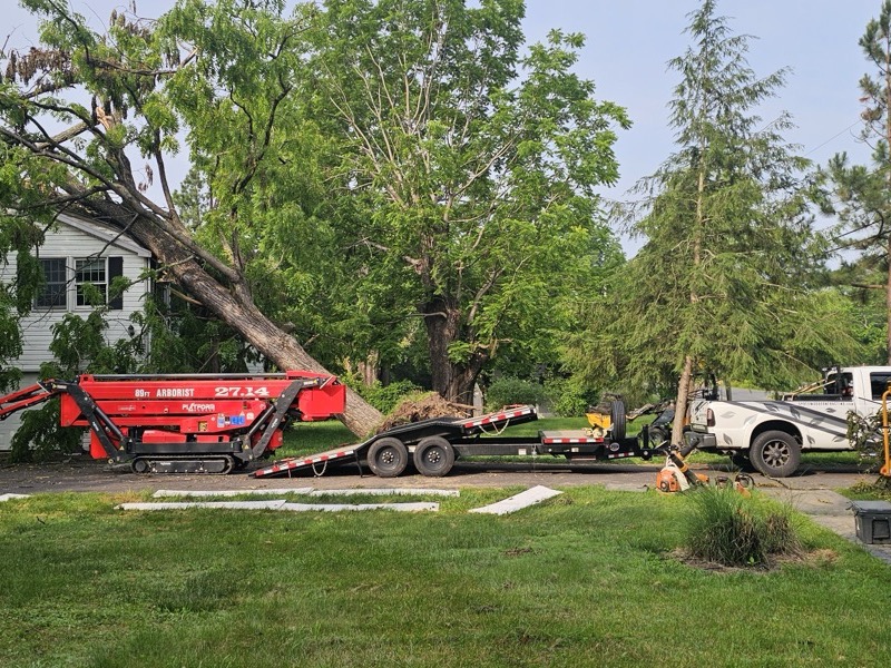 Emergency tree service