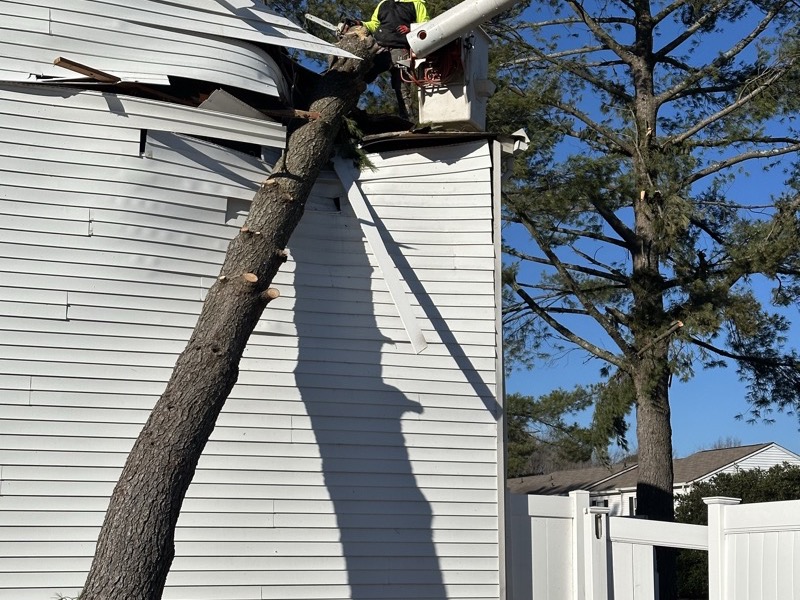Emergency tree service