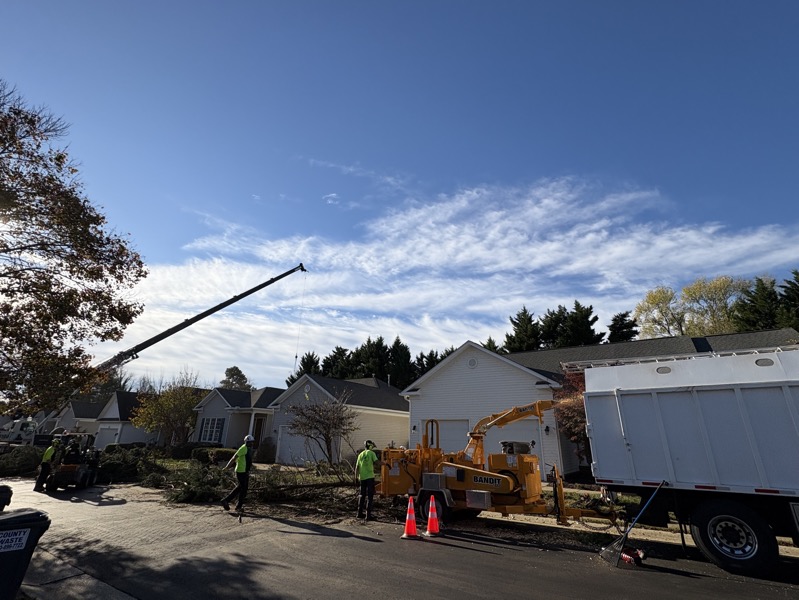 Emergency tree service