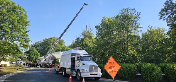 Crane-assisted emergency tree removal