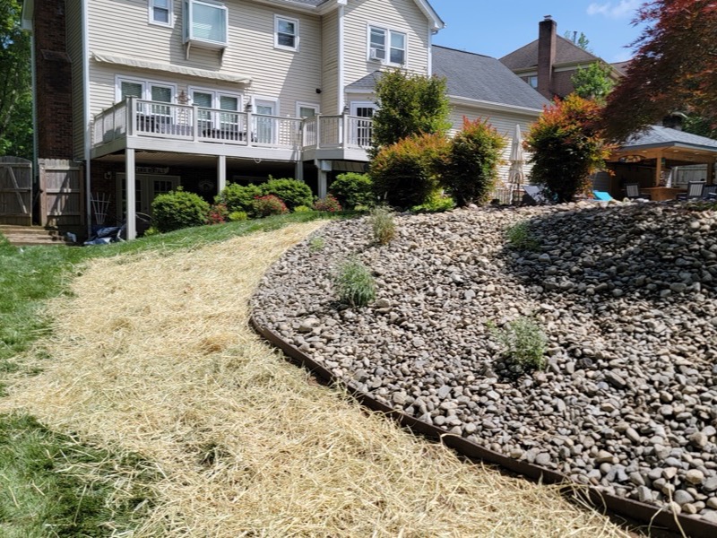 Landscape construction project