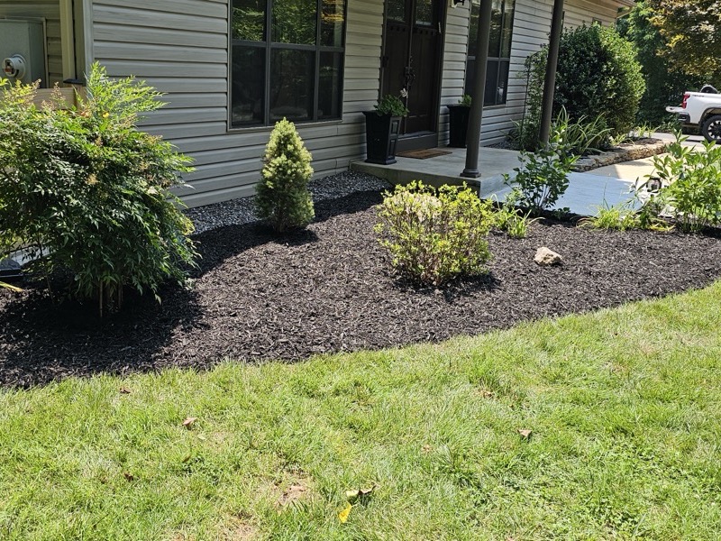Landscape construction project