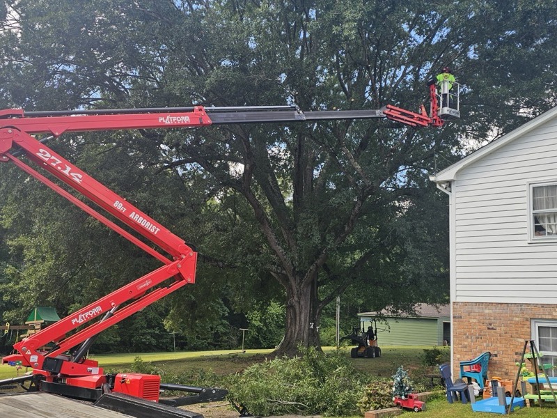 Tree service project