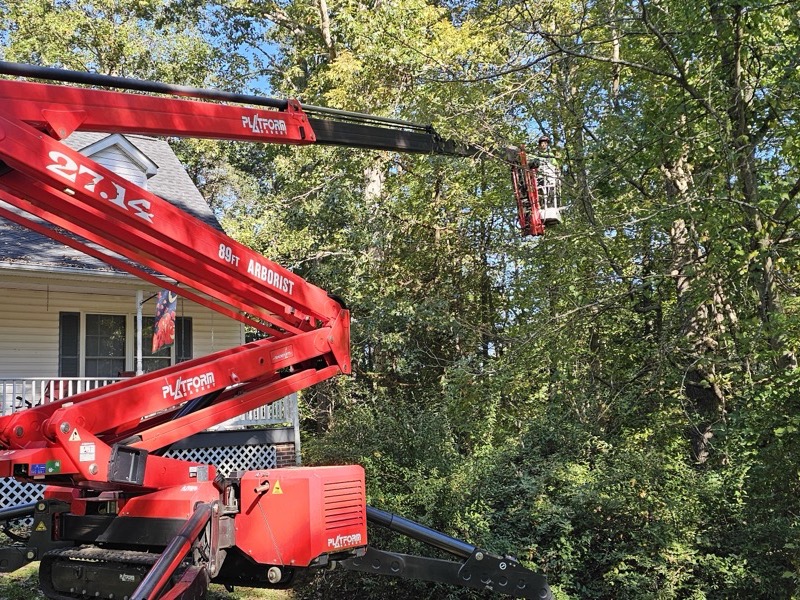 Tree service project