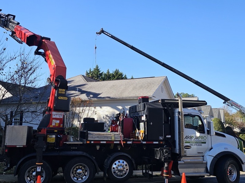 Tree service project