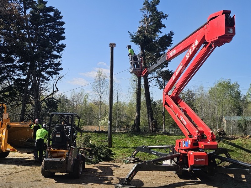 Tree service project
