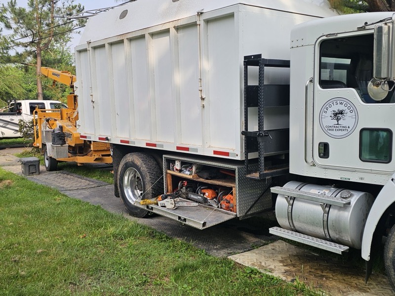 Tree service project