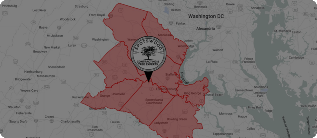 Spotswood Contracting residential service area map