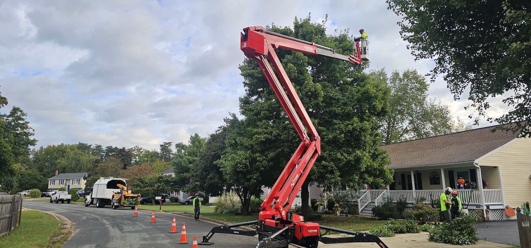 Residential tree service by Spotswood Contracting